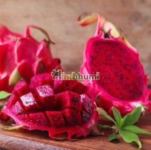 Dragon Fruit