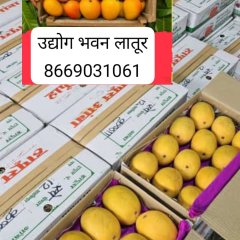 पुणेकर आंबा ट्रेडिंग कंपनी